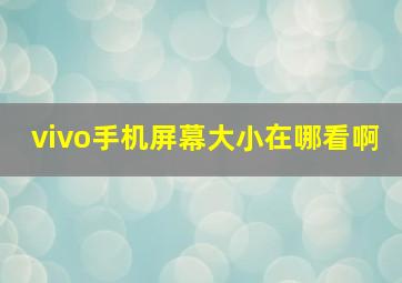 vivo手机屏幕大小在哪看啊