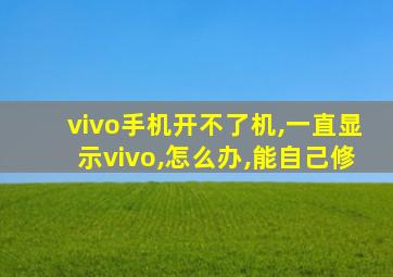 vivo手机开不了机,一直显示vivo,怎么办,能自己修