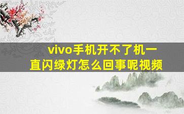 vivo手机开不了机一直闪绿灯怎么回事呢视频