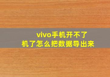 vivo手机开不了机了怎么把数据导出来