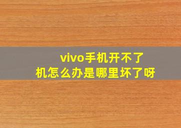 vivo手机开不了机怎么办是哪里坏了呀