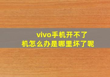 vivo手机开不了机怎么办是哪里坏了呢