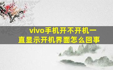 vivo手机开不开机一直显示开机界面怎么回事