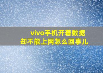 vivo手机开着数据却不能上网怎么回事儿