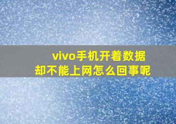 vivo手机开着数据却不能上网怎么回事呢