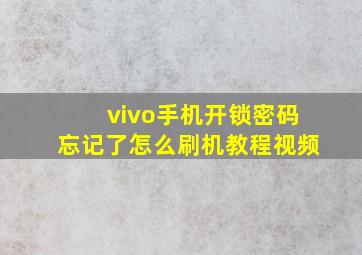 vivo手机开锁密码忘记了怎么刷机教程视频