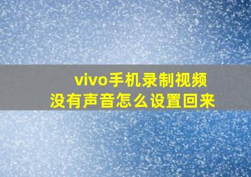 vivo手机录制视频没有声音怎么设置回来