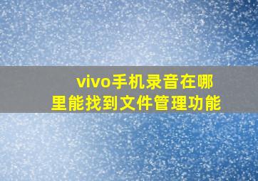 vivo手机录音在哪里能找到文件管理功能