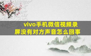 vivo手机微信视频录屏没有对方声音怎么回事