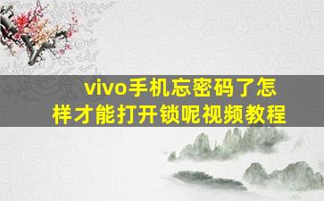 vivo手机忘密码了怎样才能打开锁呢视频教程