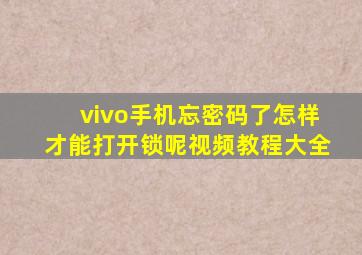 vivo手机忘密码了怎样才能打开锁呢视频教程大全