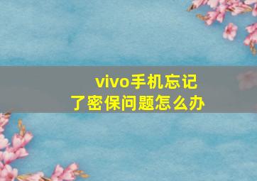 vivo手机忘记了密保问题怎么办