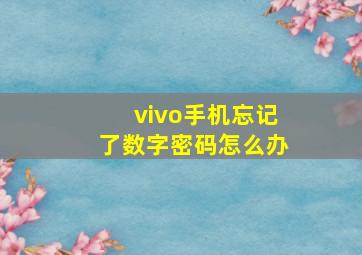 vivo手机忘记了数字密码怎么办