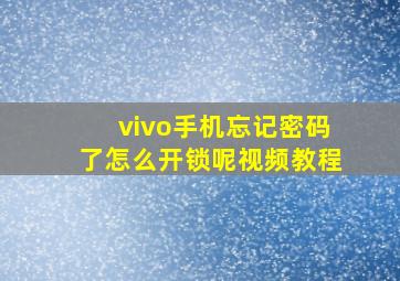 vivo手机忘记密码了怎么开锁呢视频教程