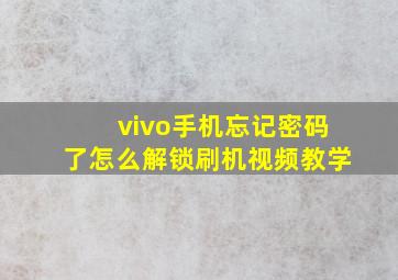 vivo手机忘记密码了怎么解锁刷机视频教学