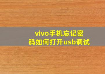 vivo手机忘记密码如何打开usb调试