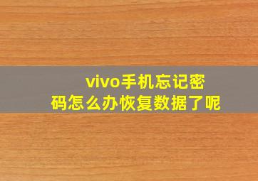 vivo手机忘记密码怎么办恢复数据了呢