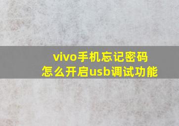 vivo手机忘记密码怎么开启usb调试功能