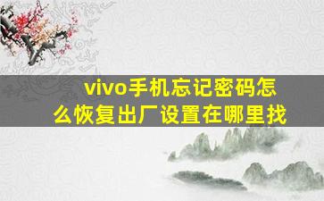 vivo手机忘记密码怎么恢复出厂设置在哪里找