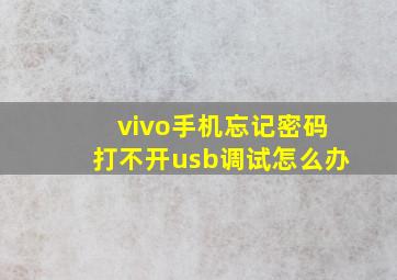 vivo手机忘记密码打不开usb调试怎么办