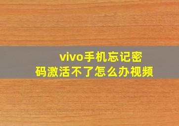 vivo手机忘记密码激活不了怎么办视频