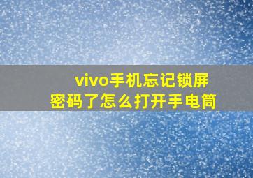 vivo手机忘记锁屏密码了怎么打开手电筒