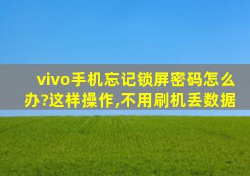 vivo手机忘记锁屏密码怎么办?这样操作,不用刷机丢数据