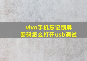 vivo手机忘记锁屏密码怎么打开usb调试