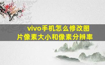 vivo手机怎么修改图片像素大小和像素分辨率