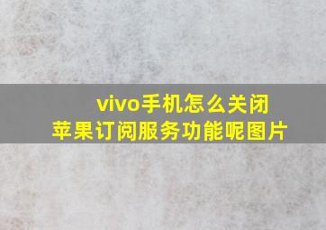 vivo手机怎么关闭苹果订阅服务功能呢图片