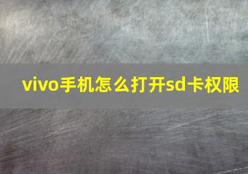 vivo手机怎么打开sd卡权限