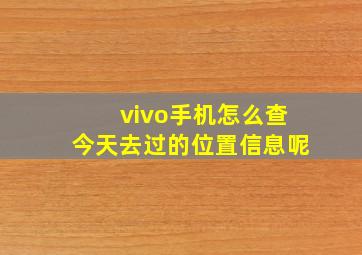 vivo手机怎么查今天去过的位置信息呢