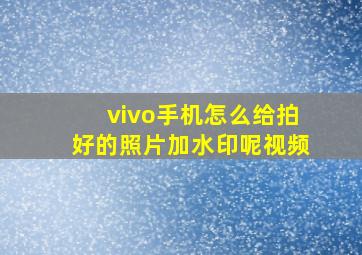 vivo手机怎么给拍好的照片加水印呢视频