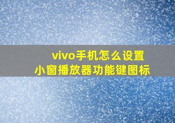 vivo手机怎么设置小窗播放器功能键图标