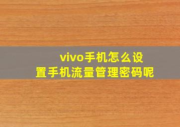 vivo手机怎么设置手机流量管理密码呢