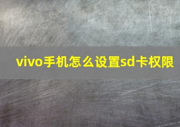 vivo手机怎么设置sd卡权限