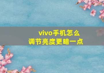 vivo手机怎么调节亮度更暗一点