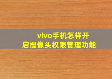 vivo手机怎样开启摄像头权限管理功能