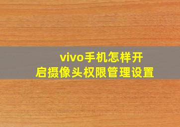 vivo手机怎样开启摄像头权限管理设置