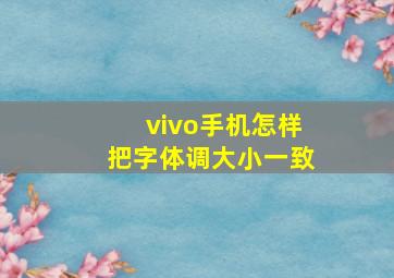 vivo手机怎样把字体调大小一致