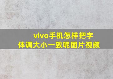 vivo手机怎样把字体调大小一致呢图片视频