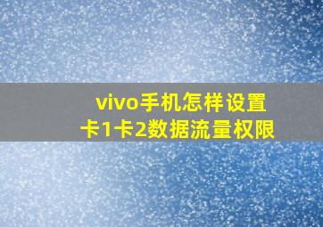 vivo手机怎样设置卡1卡2数据流量权限