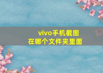 vivo手机截图在哪个文件夹里面