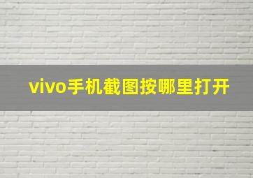 vivo手机截图按哪里打开