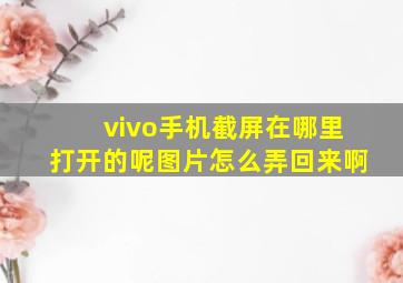 vivo手机截屏在哪里打开的呢图片怎么弄回来啊