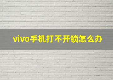 vivo手机打不开锁怎么办