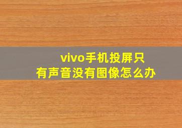 vivo手机投屏只有声音没有图像怎么办