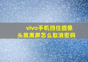 vivo手机挡住摄像头就黑屏怎么取消密码