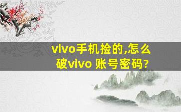 vivo手机捡的,怎么破vivo 账号密码?