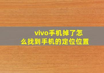 vivo手机掉了怎么找到手机的定位位置